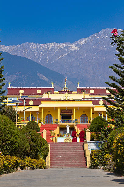 gyuto monastery, dharamshala, india - losar bildbanksfoton och bilder