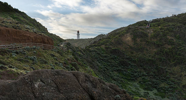 istock green hills with path leading to lighthouse 514455643