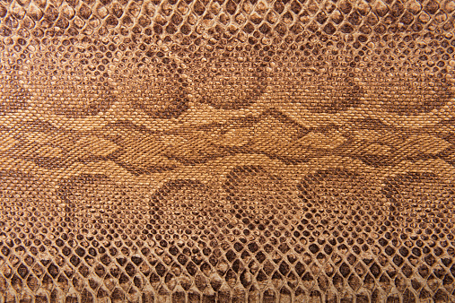 Brown snake pattern imitation, background
