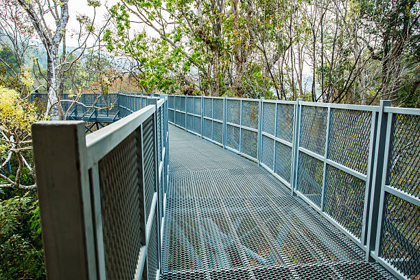 istock sky walk in forest , chiangmai Thailand 514457066