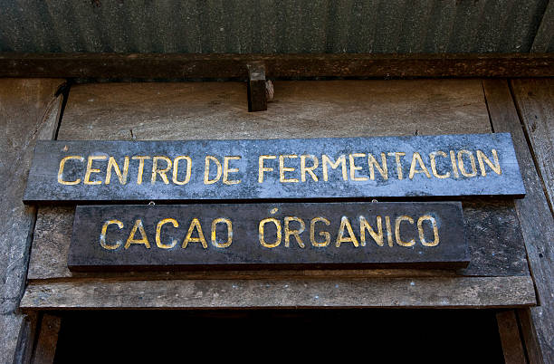 istock Sign on cocoa production in Nicaragua 514457610