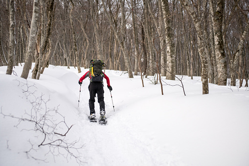 A man snowshoeing through the forest in winter