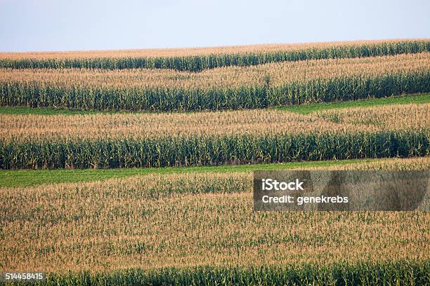 Late Summer Hillside Central New York State Stock Photo - Download Image Now - Agriculture, Autumn, Beauty In Nature