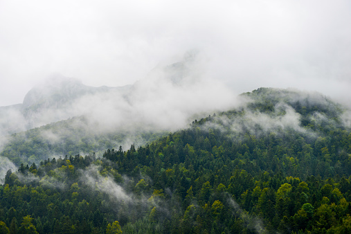 Overlooking a misty valley near Oberstaufen, Bavaria.