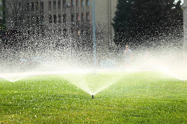 istock garden sprinkler on the green lawn 514459061