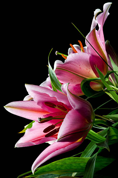 istock Bouquet of lilies 514460373