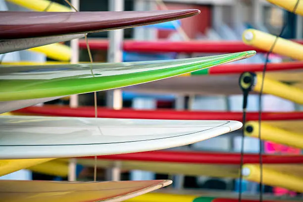 Photo of Surfing boards in a row