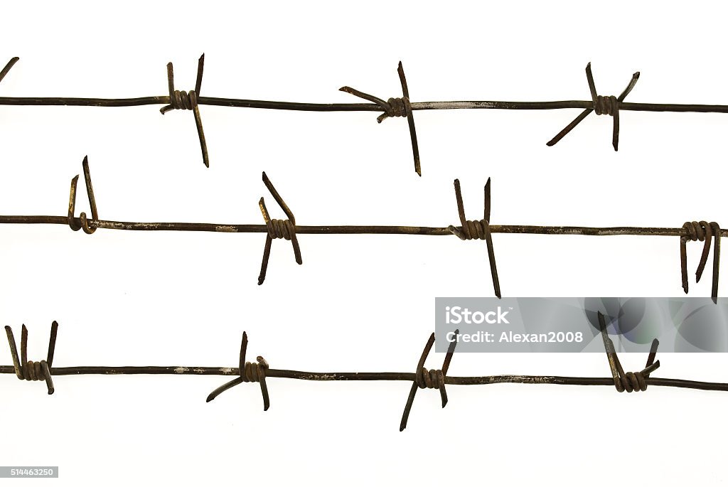 Bar Wireimage Barbed Wire Stock Photo - Download Image Now - Barbed Wire, Danger ...