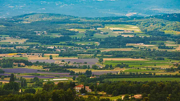 Fields and meadows in Provence, France. Beautiful rural landscape with lavender fields and vineyards. Panorama.