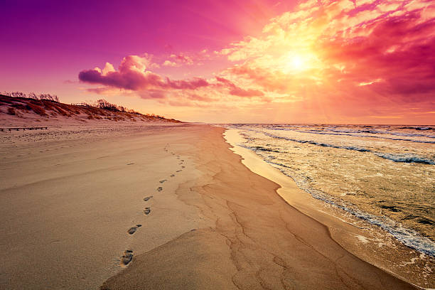 Purple sunrise over sea