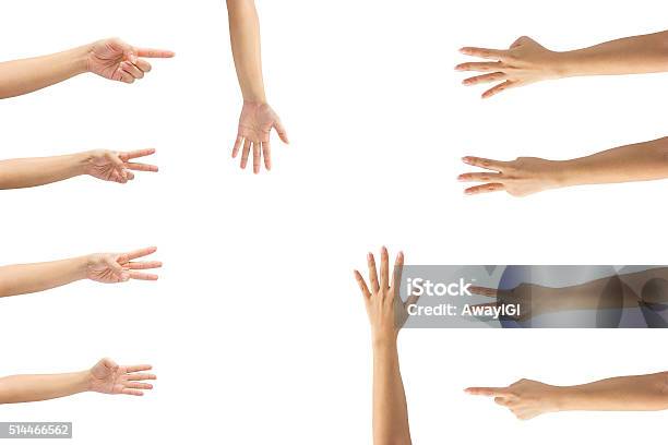 Collage Of Woman Hands On White Backgrounds Stock Photo - Download Image Now - Forearm, Cut Out, Rear View