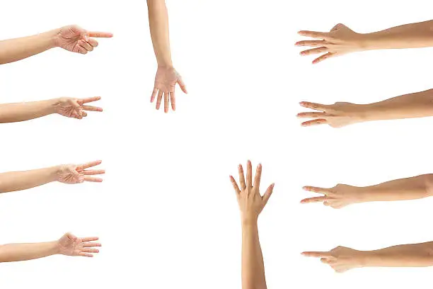 Collage of woman hands on white backgrounds