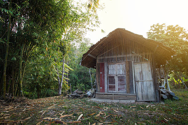 istock Wooden home 514468858