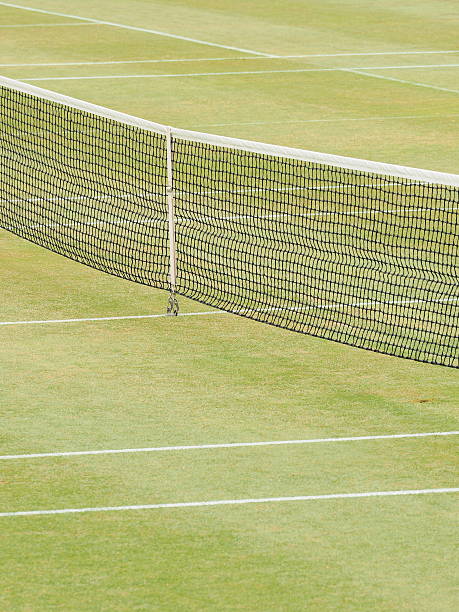 istock Lawn courts background with net center 514469078