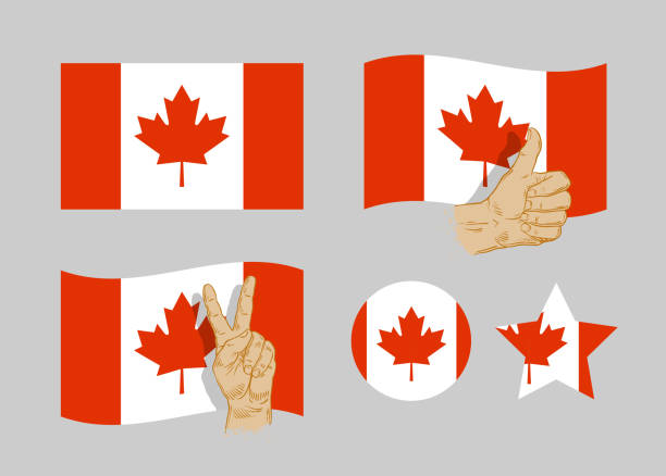 flaga kanady zestaw. ilustracja wektorowa ikony - flag canadian flag patriotism national flag stock illustrations