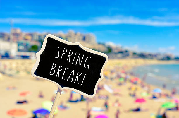 spring break in a black signboard on the beach stock photo