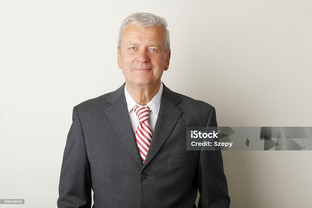 Senior businessman portrait Portrait of senior businessman standing at office. Suit Stock Photo