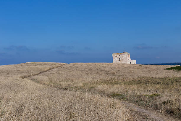 istock watchtower in Italy 514477073