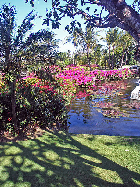istock Lush vegetation in Bali 514477291