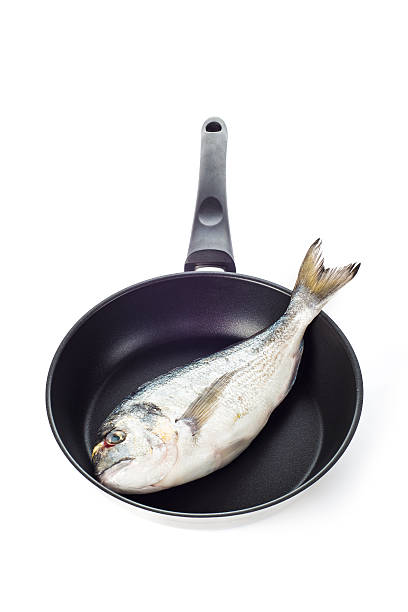 istock Gilt-head sea bream fish on a pan isolated 514477555