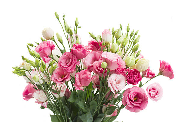 istock bouquet of  pink eustoma flowers 514478339