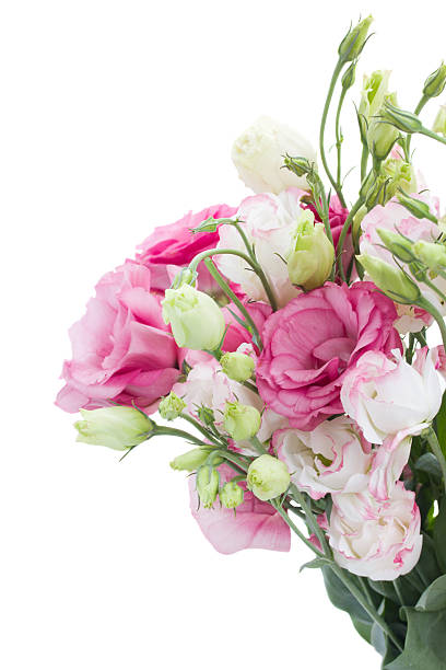 istock bunch of  pink eustoma flowers 514478343