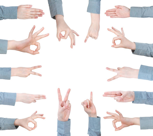 istock set of female palms -hand gesture 514481629