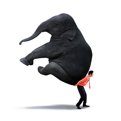 Images of businessman lifting heavy elephant - isolated on white background