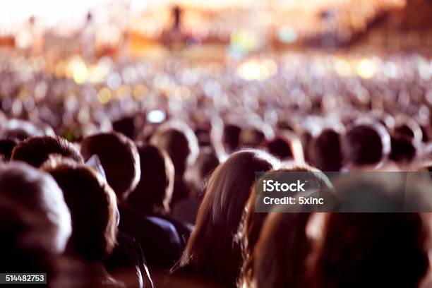 Gran Multitud De Personas Foto de stock y más banco de imágenes de Grande - Grande, Acontecimiento, Multitud