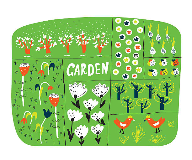 сад план с кроватями забавная иллюстрация - leaf vegetable planning food healthy eating stock illustrations