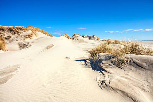 istock Beautifull dunes of Amrum 514498904
