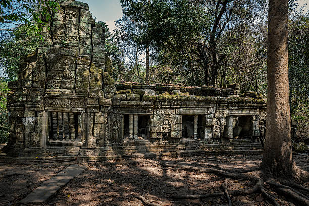 istock Ta Prohm Angkor ruins Cambodia 514504260