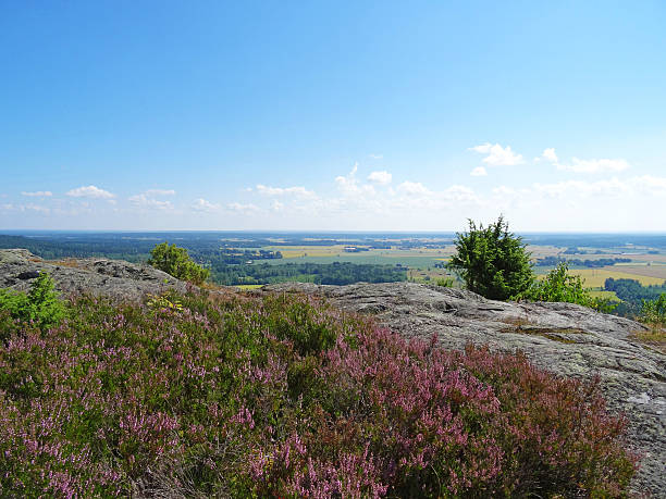 istock Wiew over the Swedish landskape 514504808