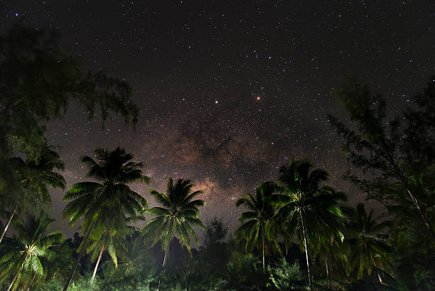 istock The milky way with coconut tree near the beach. 514507268