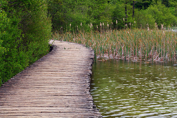 istock Wood path in the Plitvice national park 514509034