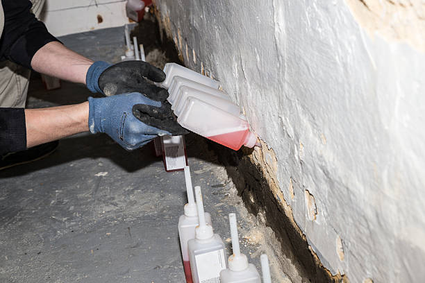 istock Draining of damp masonry of a cellar from the inside 514512638