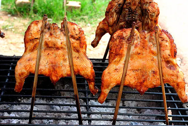 Grilled chicken is a popular dish in Thailand. Edible dishes from appetizers, snacks or hors d'oeuvres.