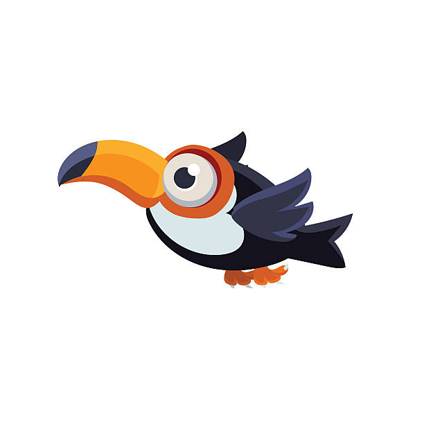 Cute Common Toucan Vector Design Cute Common Toucan Mid-air On White Background toucan white background stock illustrations