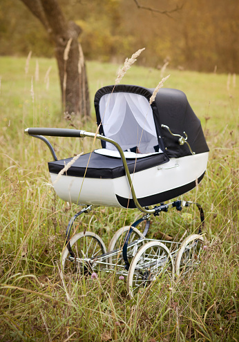 Vintage baby pram outdoors in autumn nature