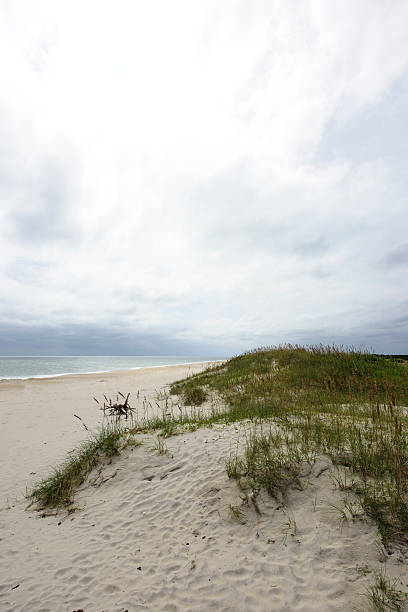 istock Beach Dunes of Coastal North Carolina Outer Banks 514516265