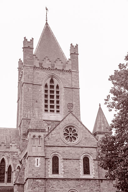 istock Christ Church Cathedral, Dublin, Ireland 514516771