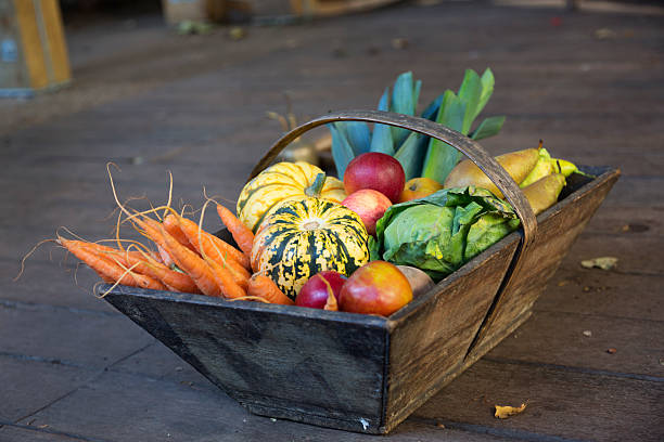 istock basket with vegetable harvest freshness from garden 514517001