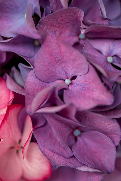 istock decorations for the wedding  and flowers 514517732