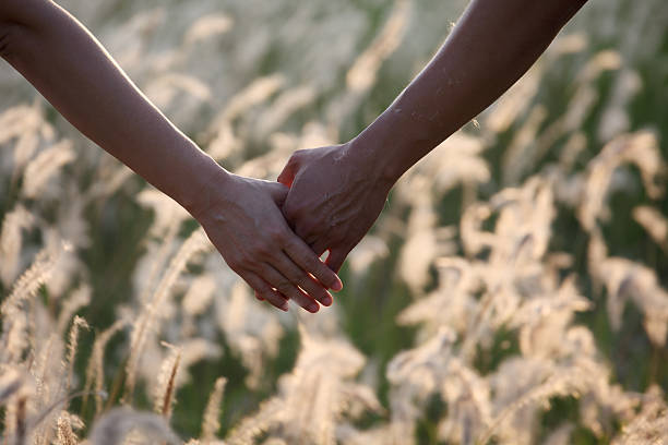 istock couple hands with reeds grass field background. 514517900