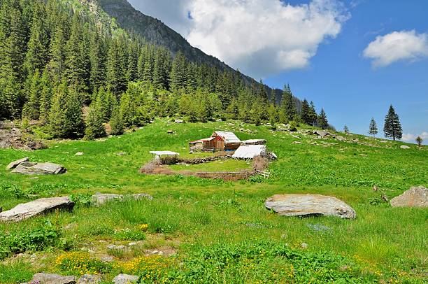 istock Wooden Sheepfold In Carpathian Mountains 514518791