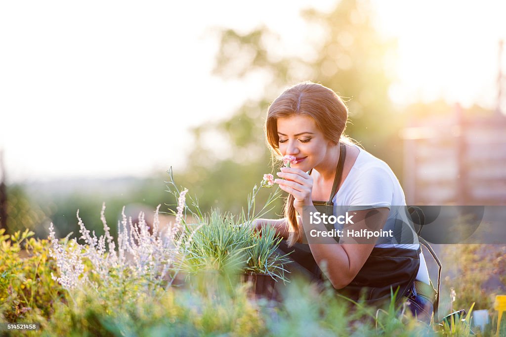 Jeune jardinier dans le jardin ensoleillé, parfum de fleurs nature - Photo de Jardin de la maison libre de droits