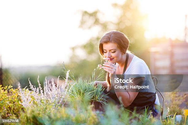 Young Gardener In Garden Smelling Flower Sunny Nature Stock Photo - Download Image Now