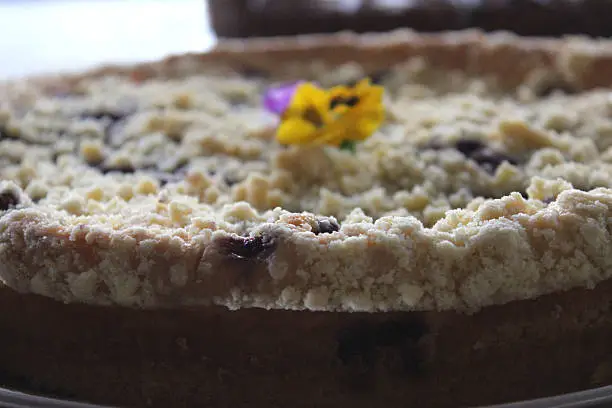 Photo showing a homemade blueberry cooked cheesecake with a crunchy crumble topping, decorated with a yellow edible pansy flower and waiting to be served.