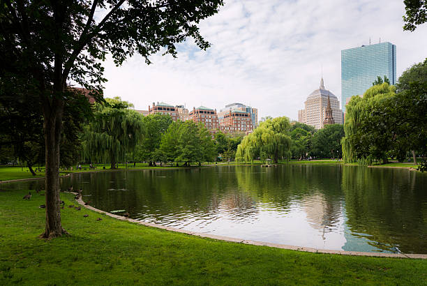 istock Pond at Public Garden in Boston, MA 514534451