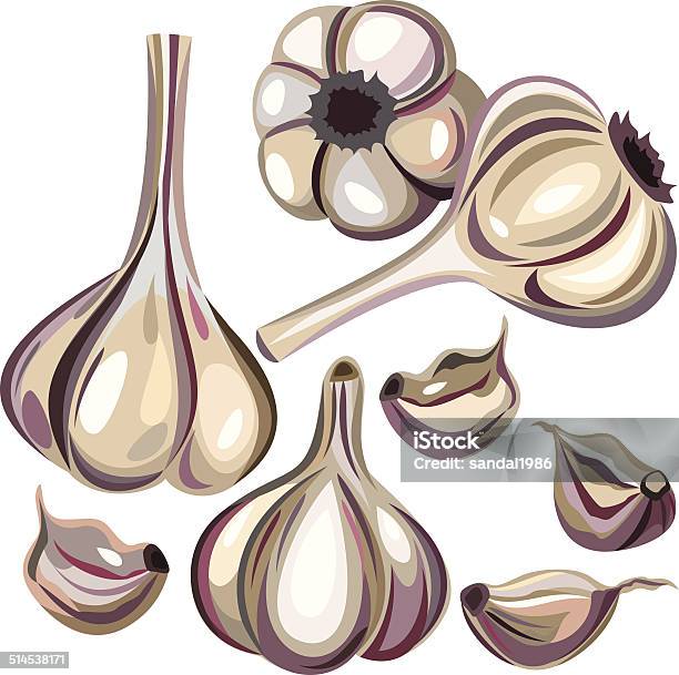 Garlic Stock Illustration - Download Image Now - Abstract, Cooking, Cut Out